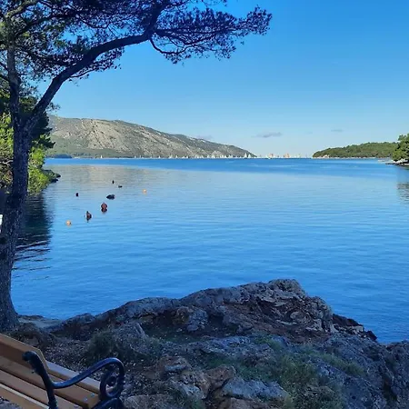 Mitrović Stari Grad (Hvar)