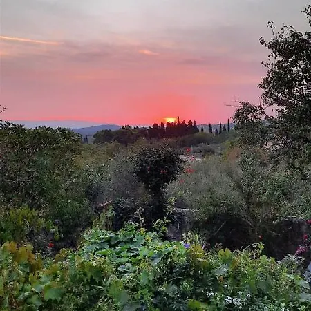Mitrović Stari Grad (Hvar)