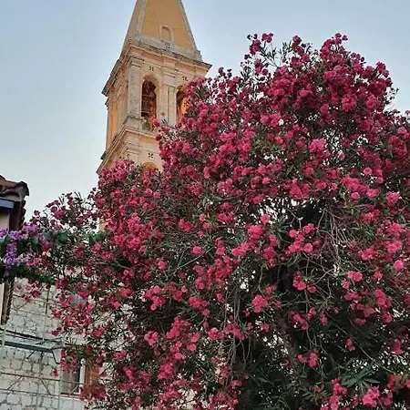 Mitrović Stari Grad (Hvar)