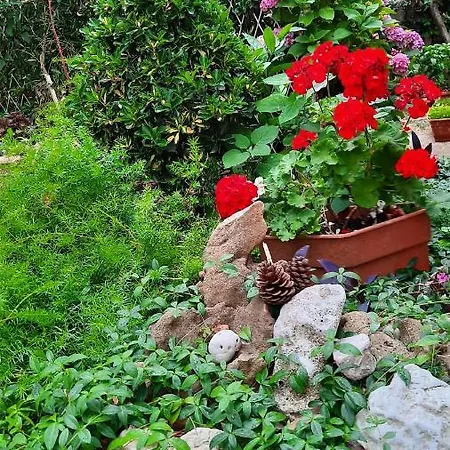 Apartment Mitrović Stari Grad (Hvar)