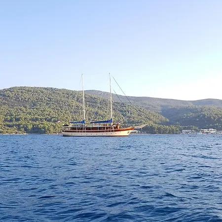 Mitrović Stari Grad (Hvar)