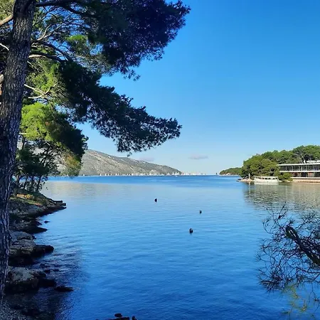 Mitrović Apartment Stari Grad (Hvar)