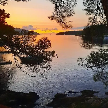 Mitrović Apartment Stari Grad (Hvar)