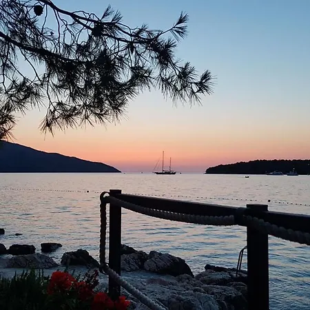 Mitrovic Stari Grad (Hvar)