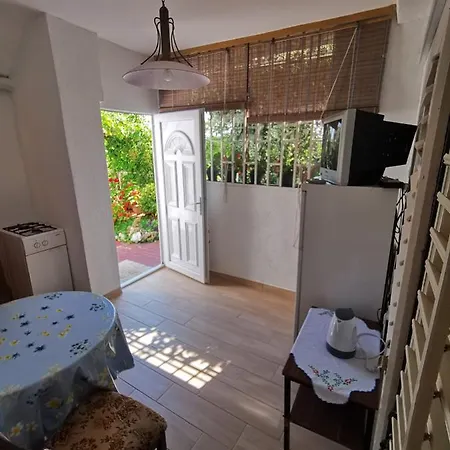Apartment Mitrovic *