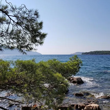 Mitrovic Apartment Stari Grad (Hvar)