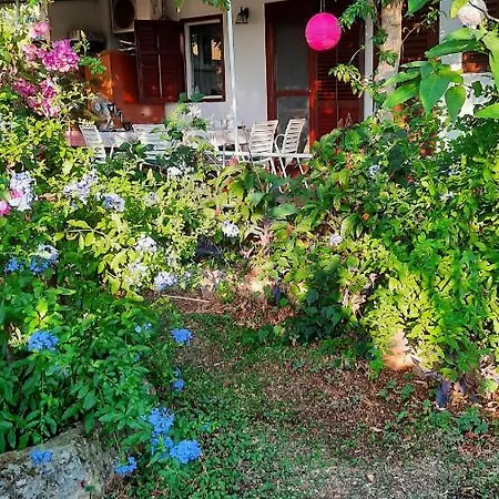 Apartment Mitrovic